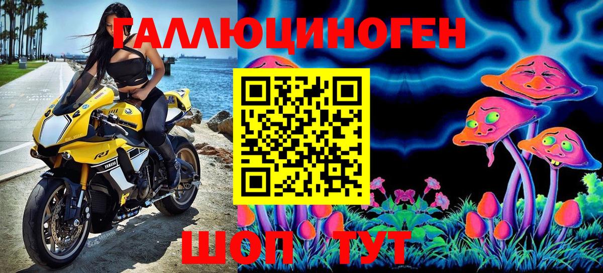 Галлюциногенные грибы ЛСД Карачаевск